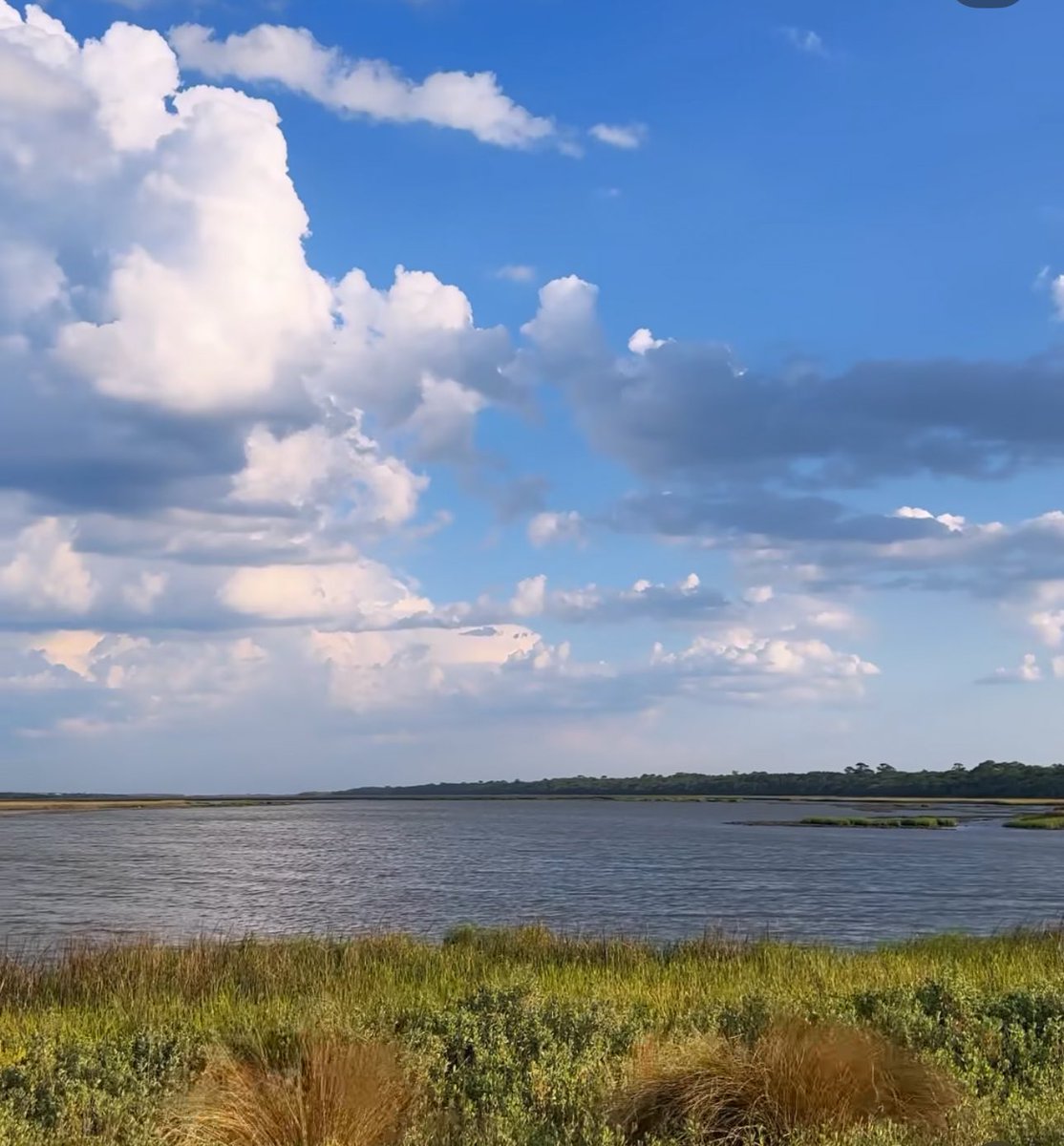 FloBornGal's tweet photo. This is the Florida I love. This is the Florida we’re losing, quickly, to developers.
This is Guana River State Park, close to where I live. It’s in danger of being sold to developers. We must save Florida wildlife and their home. 
@GovRonDeSantis
https://t.co/w0PAyDOXXa https://t.co/ul2GobYFdC