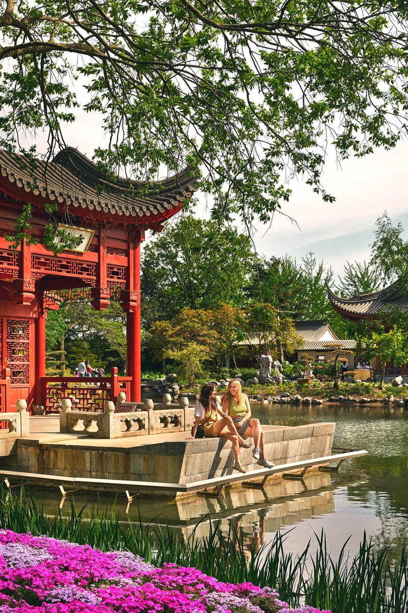 Montréal tweet media