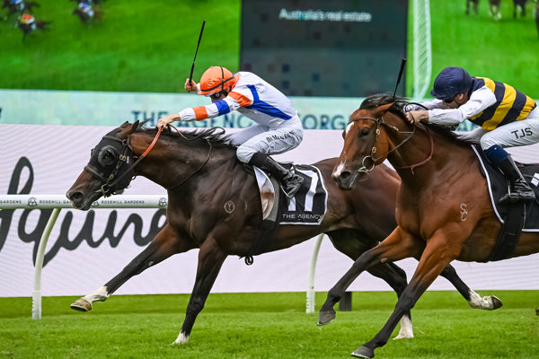 Tara Madgwick (@breednet) on Twitter photo Worth $1.5million, the G1 Doomben 10,000 is packed with intrigue, couple of big gear changes might hold relevance and our Breeding to Win feature also looks at pedigree to find a tip breednet.com.au/news/39259/bre… <a href="/Racing_QLD/">Racing Queensland</a> <a href="/ANeashamRacing/">Annabel Neasham and Rob Archibald Racing</a> <a href="/WarrenRacing/">Jason Warren Racing</a> <a href="/mcevoymitchell/">McEvoy Mitchell Racing</a> <a href="/moodyracingpgm/">Peter Moody</a> Worth $1.5million, the G1 Doomben 10,000 is packed with intrigue, couple of big gear changes might hold relevance and our Breeding to Win feature also looks at pedigree to find a tip breednet.com.au/news/39259/bre… <a href="/Racing_QLD/">Racing Queensland</a> <a href="/ANeashamRacing/">Annabel Neasham and Rob Archibald Racing</a> <a href="/WarrenRacing/">Jason Warren Racing</a> <a href="/mcevoymitchell/">McEvoy Mitchell Racing</a> <a href="/moodyracingpgm/">Peter Moody</a>