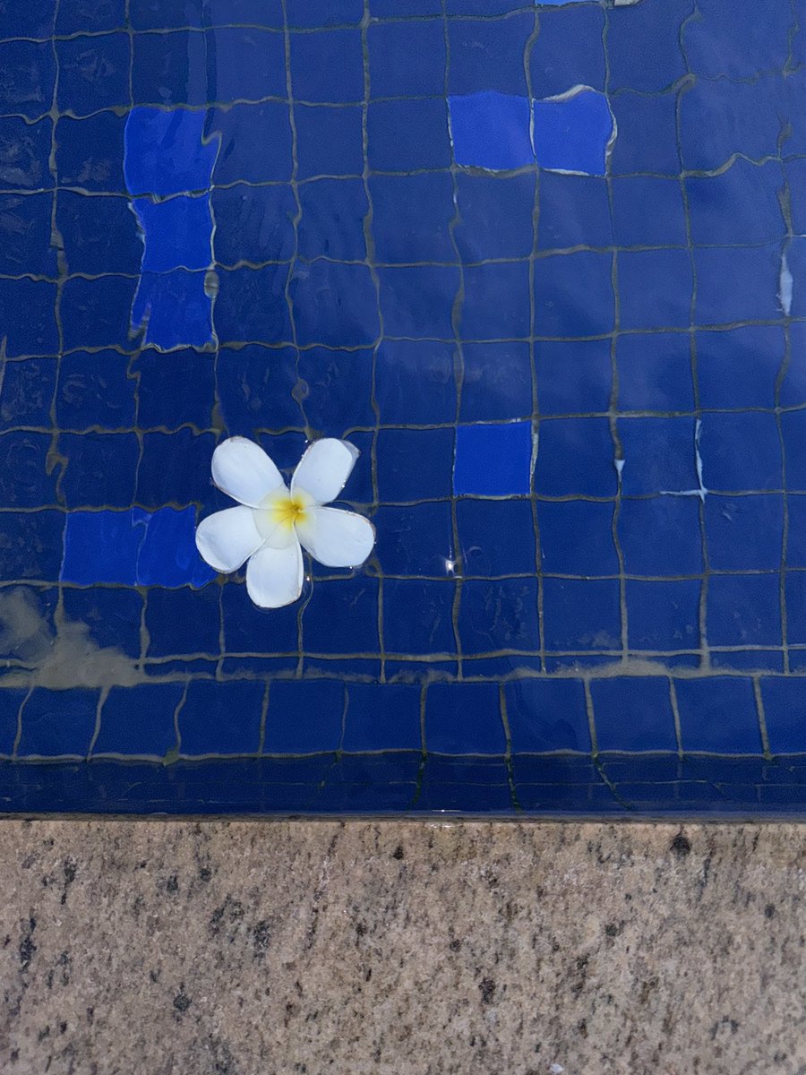 탈케 아닙니다 체력이 없습니다..ㅜㅜ