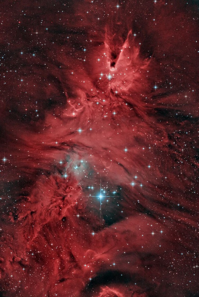 maiz_julio's tweet photo. NGC2264 Cone Nebula and Christmas tree nebula bybAndrei Gusan. https://t.co/P3UkBYlvnX
