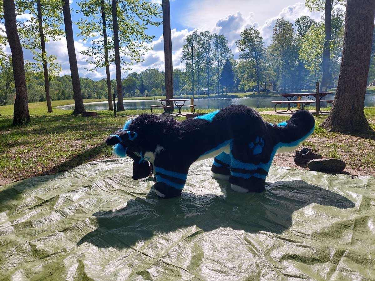 DevlockDaDragon's tweet photo. #FursuitFriday 

I have yet to show off my plush suit >:) He is honestly so fun to wear and to run around in!

Note: I use and have this suit for cosplay, cuteness, and animation purposes. If you have a problem with it, I don’t care 😁 (sadly I have to state this) https://t.co/NMDL4xNump