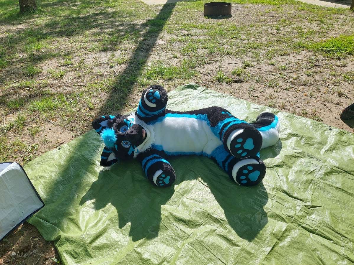 DevlockDaDragon's tweet photo. #FursuitFriday 

I have yet to show off my plush suit >:) He is honestly so fun to wear and to run around in!

Note: I use and have this suit for cosplay, cuteness, and animation purposes. If you have a problem with it, I don’t care 😁 (sadly I have to state this) https://t.co/NMDL4xNump