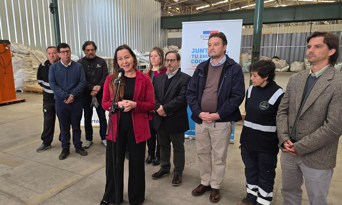 Sercotec destinará más de $1.300 millones para desarrollo de cooperativas en Chile. El programa otorga subsidios y acompañamiento para la creación y fortalecimiento de este tipo de organizaciones, financiando proyectos con hasta $20 millones. <a href="/Sercotec_Chile/">Sercotec</a> <a href="/Sct_Los_Lagos/">Sercotec Los Lagos</a>