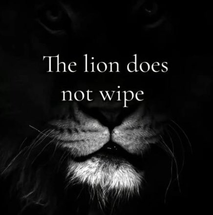 Scott (@sunlooper) on Twitter photo 