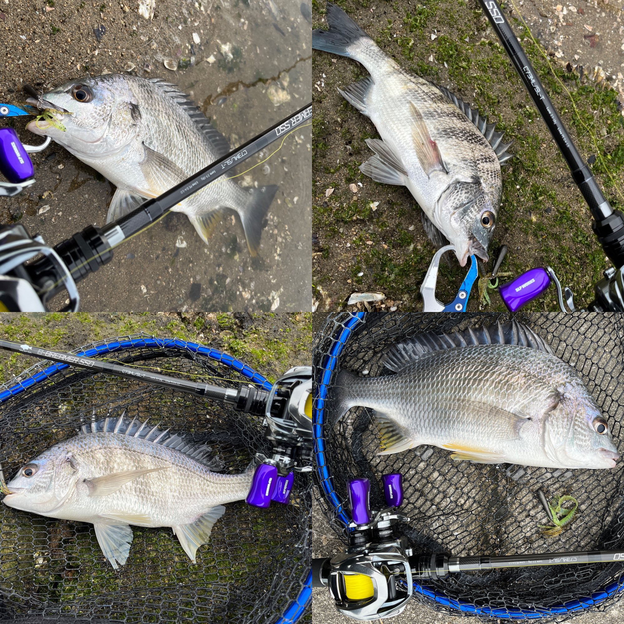 釣り具 テイルウォーク(Tailwalk) Bブリーマー SSD C77M+/SSL ≪\u002725年6月新商品！≫ テイルウォーク（tail walk） B-ブリーマー TZ C77M⁄