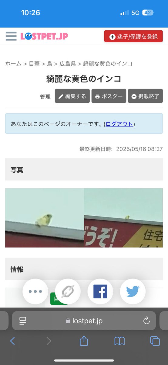 えぬ︎꒡̈⃝ ( 𝟎𝟐.𝟏𝟓 ) 🦖 tweet media