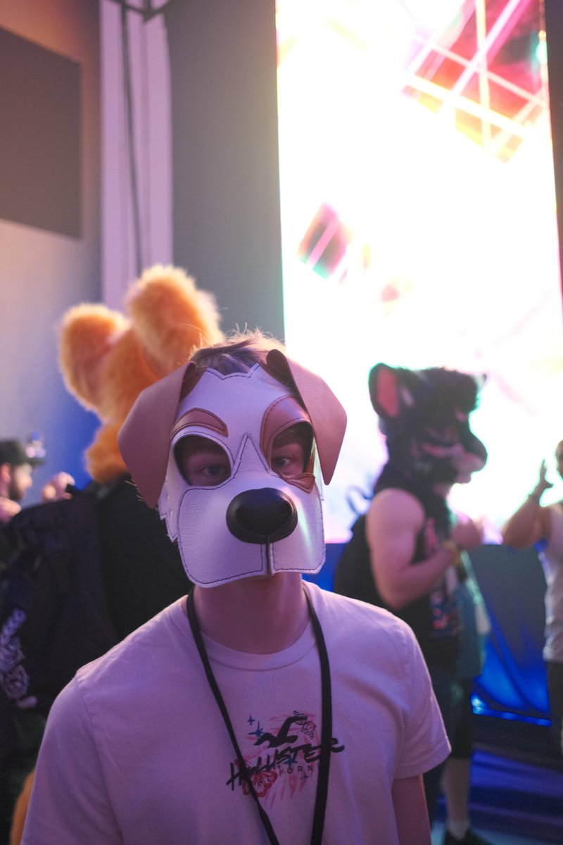 Kindlefurr's tweet photo. It was Heaven to me

📸@ArcticSkiis https://t.co/4dePFOFtlJ