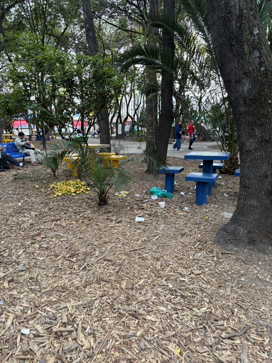 ChristianIsvan's tweet photo. @AlcCuauhtemocMx Por favor reparen, retiren o refuercen esos cables tensores . Una persona en situación de calle trató de agredir a un perro. El parque está lleno de basura, las bancas las usan para dormir. Pongan policías. Gracias https://t.co/7zpq6ks4vr