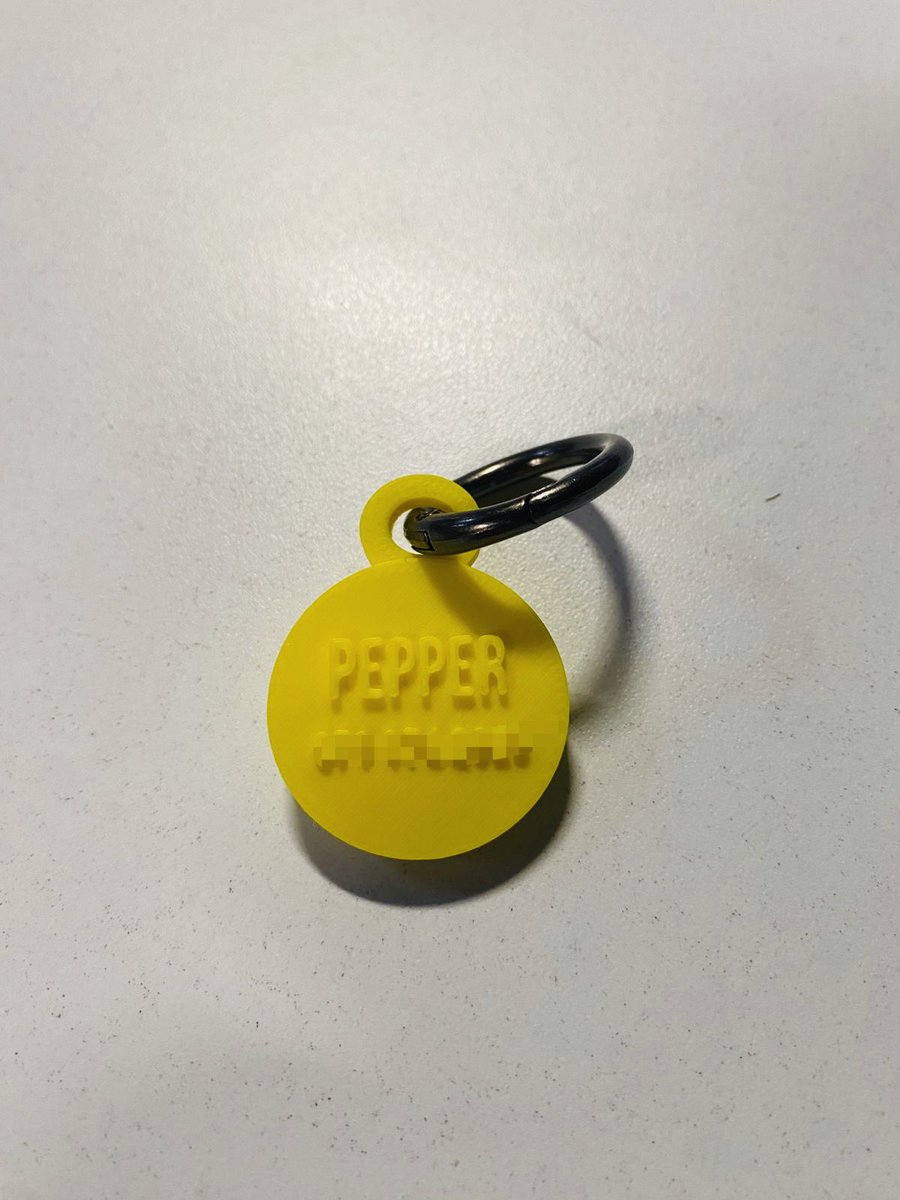 diegobc28's tweet photo. Since I posted the ID tag I made for Gandalf, a bunch of people reached out asking for one too. These tags store your pet’s info and health records—like a digital health card, right on their collar. https://t.co/lrtfcv5JiE