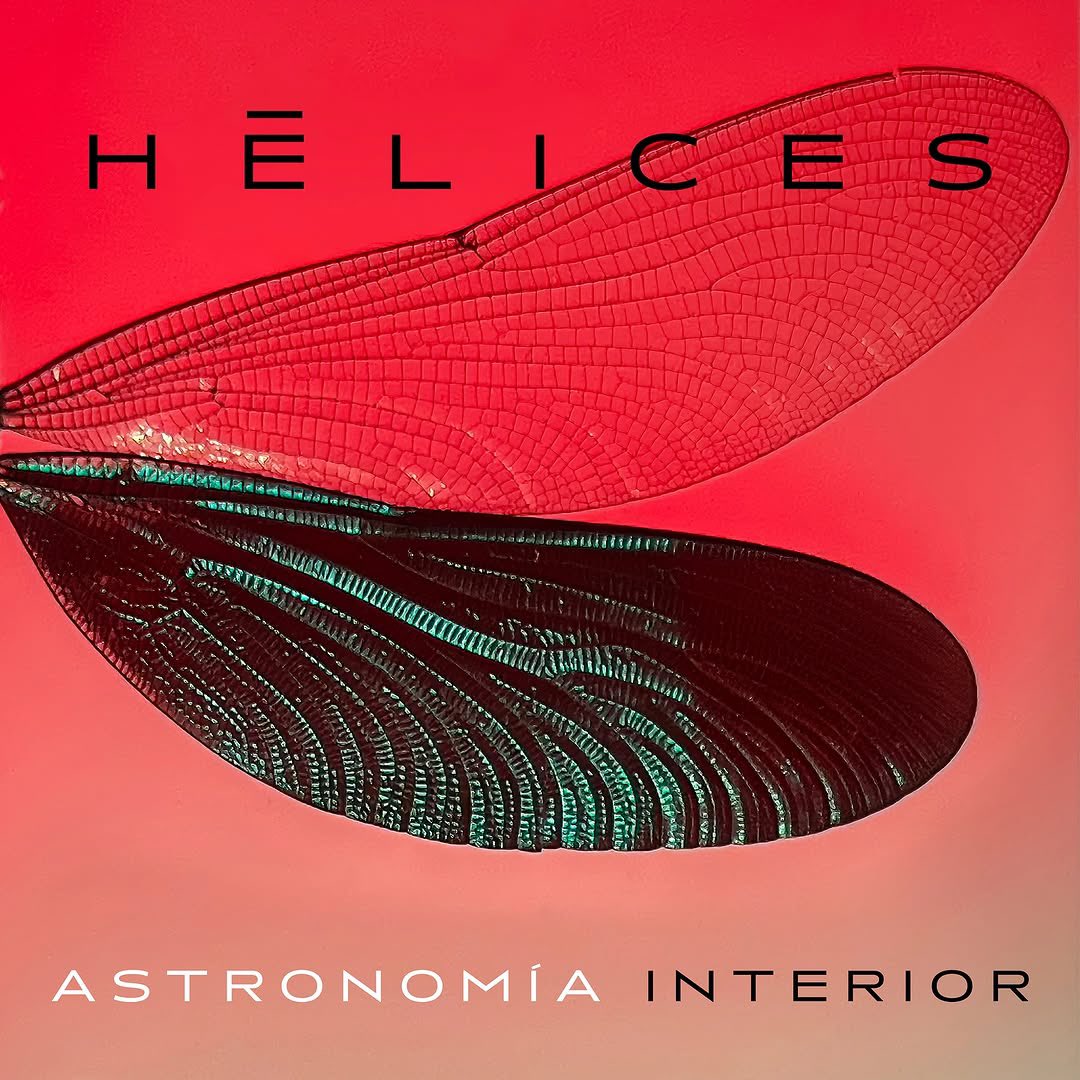 Seitrack U.S. tweet media