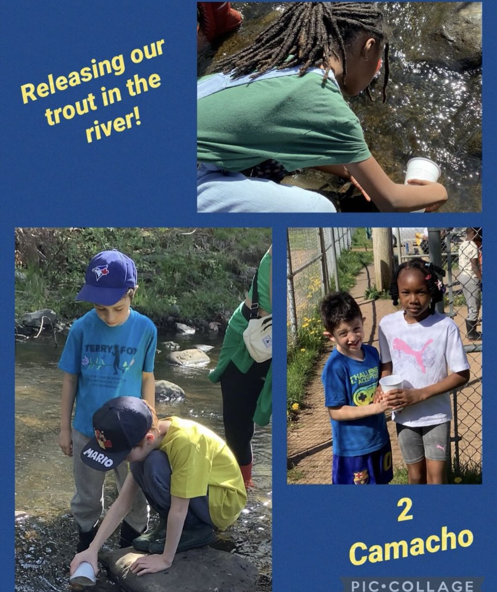 École Chebucto Heights School (@chebuctoh) on Twitter photo 2 Camacho released 318 trout in the river this morning! It was a beautiful sunny day to be by the water ☀️ 2 Camacho released 318 trout in the river this morning! It was a beautiful sunny day to be by the water ☀️