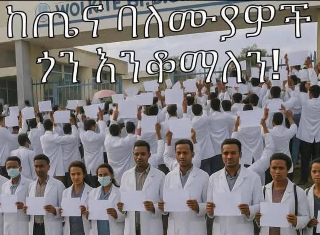 #StandInSolidarity  #HealthcareHeroes #TeachersMatter  #CivilServantsDemandChange  
#LivingWagesNow   #PeopleOverPalace

To Our Fellow #Ethiopians in the Diaspora,
The time to act is now ! . Our beloved homeland groans beneath the weight of repression, injustice, and #AbiyAhmed's