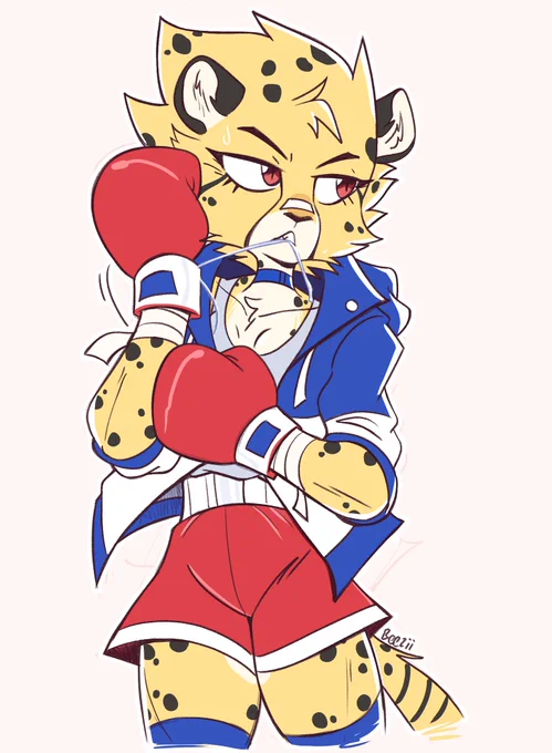kitty boxer 