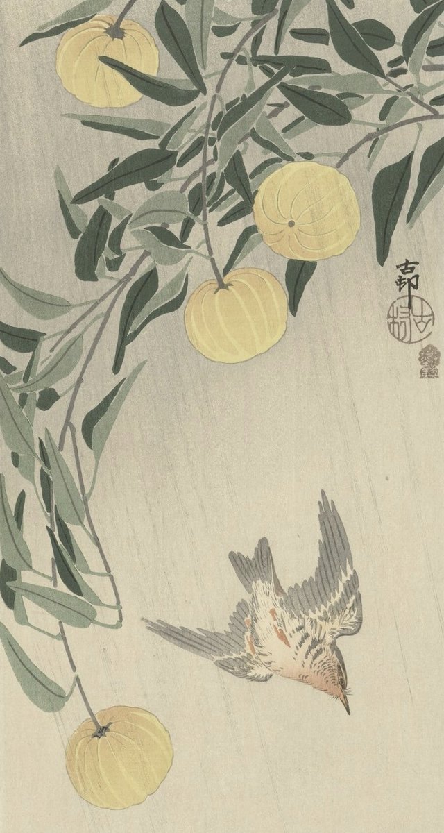 Brig COURBET-MANET tweet media