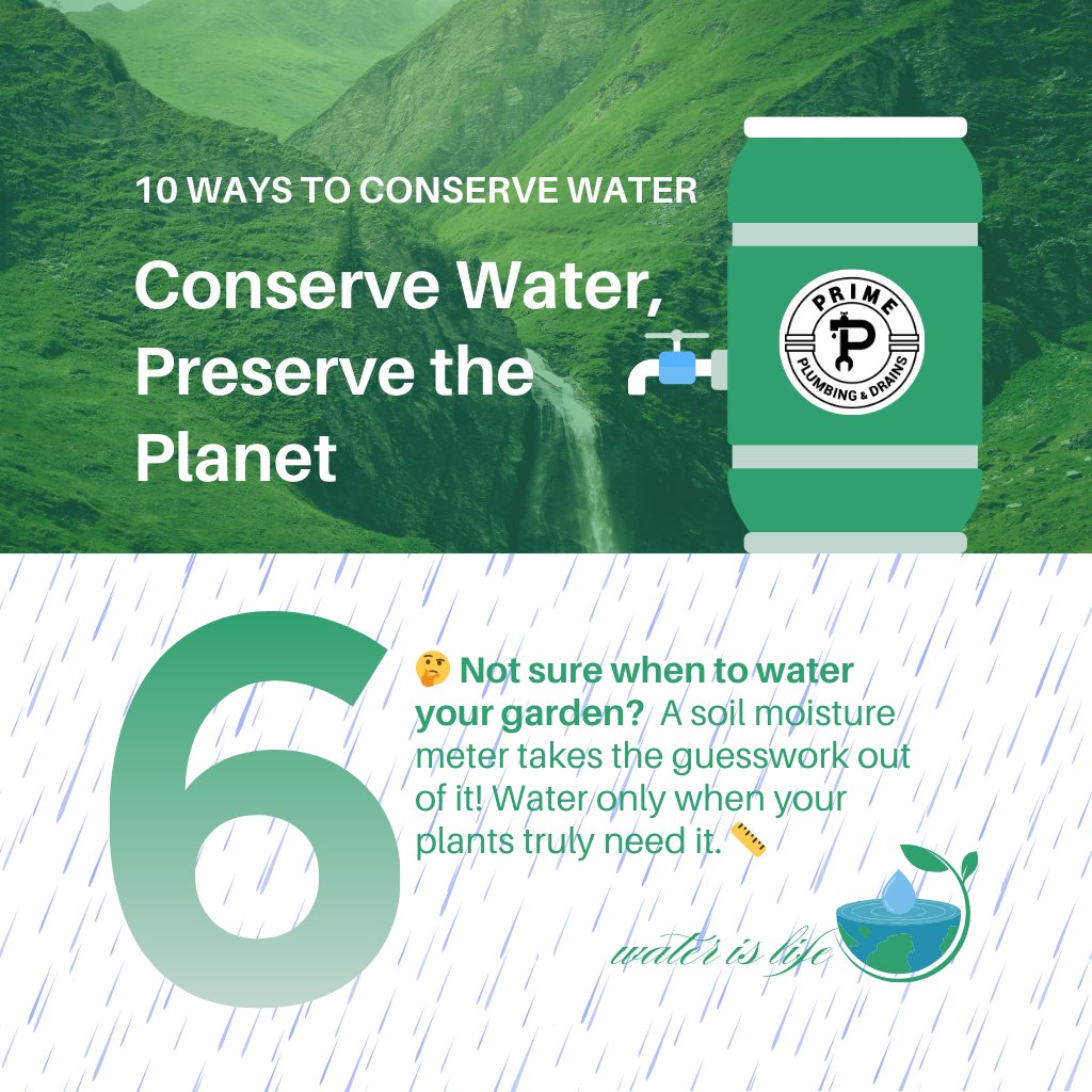 Prime Plumbing & Drains tweet media