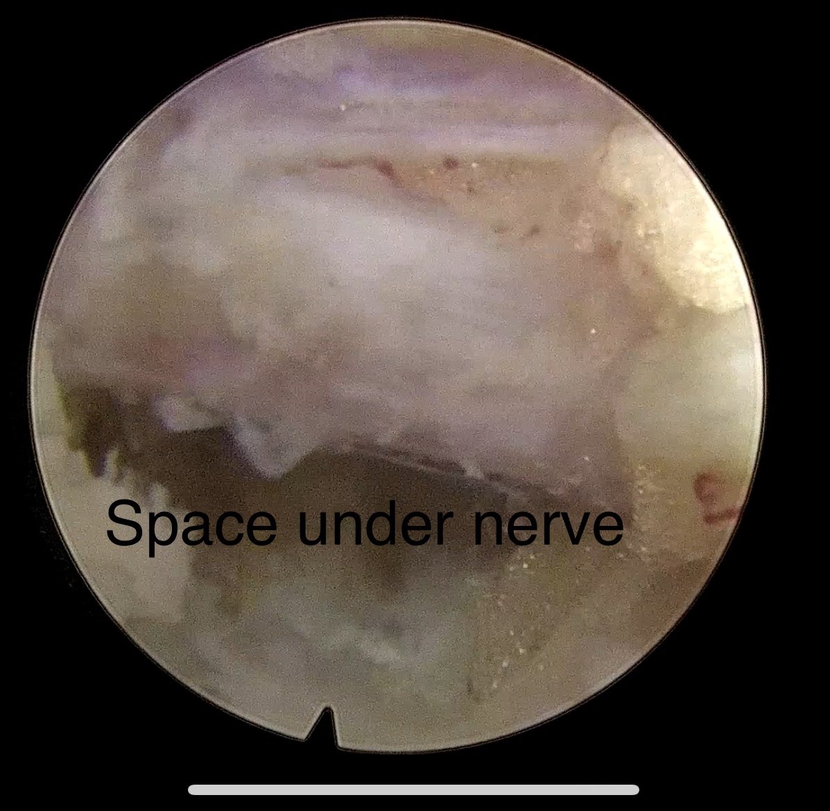 Will Mangham tweet media