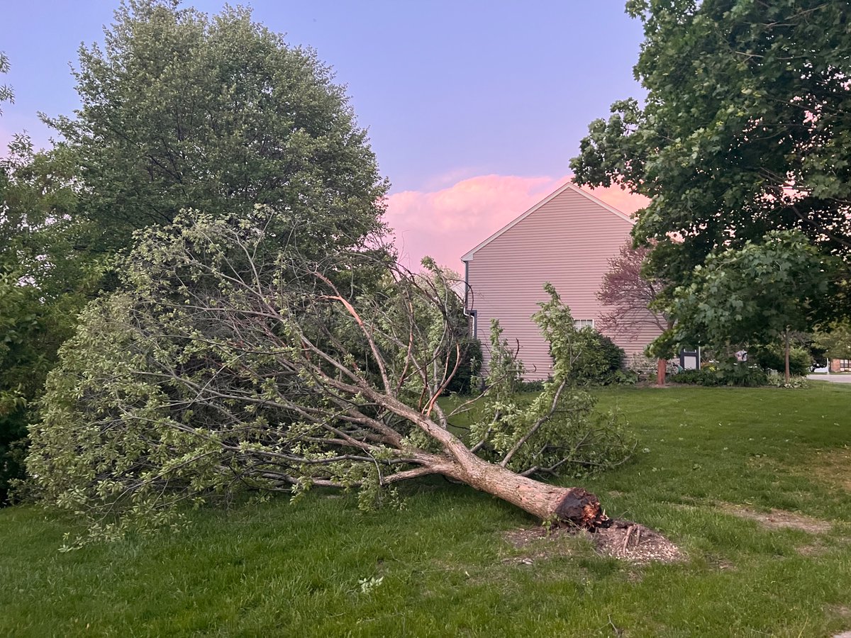 AkioStrasser's tweet photo. @NWSChicago Wind snapped a seemingly healthy tree in Bartlett approx 2 - 3 hours ago. https://t.co/H2XuitGRZB