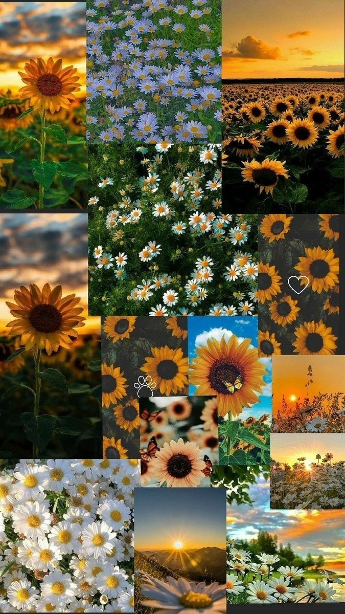 aestheticspost_'s tweet photo. https://t.co/7otE6esRix