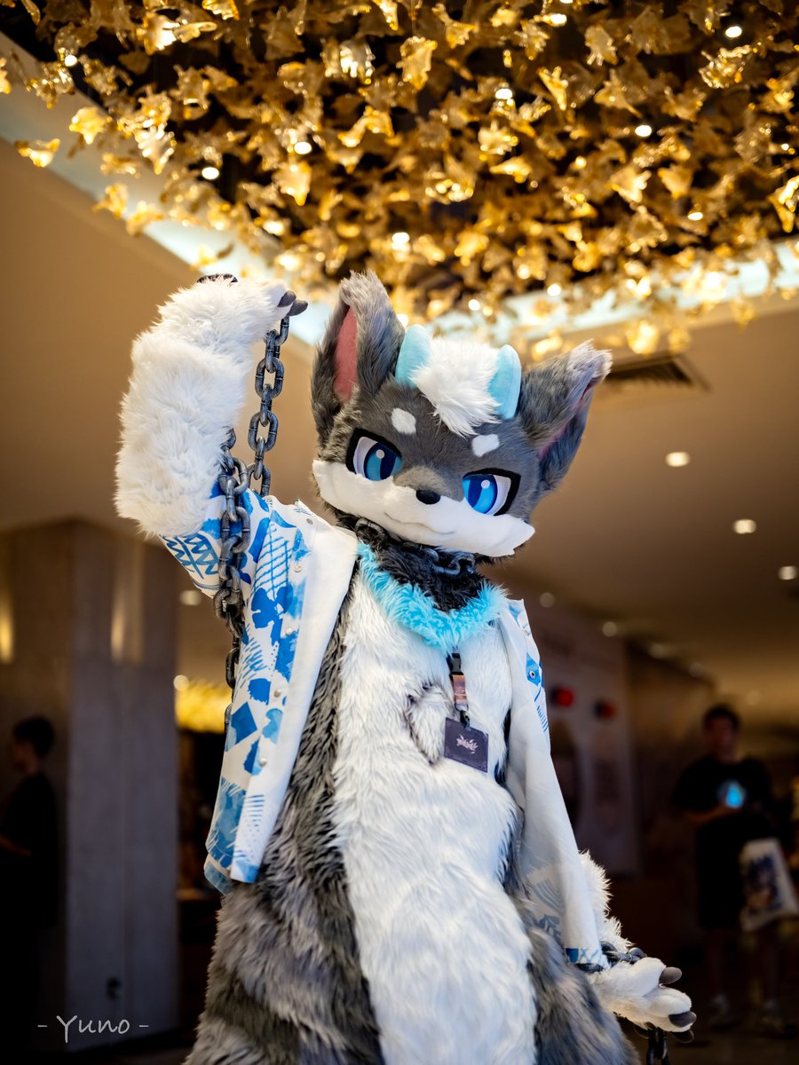 奶茶是大人喝的，今天我得喝旺仔牛奶❤️

📷：丶佑诺乄 
#FursuitFriday