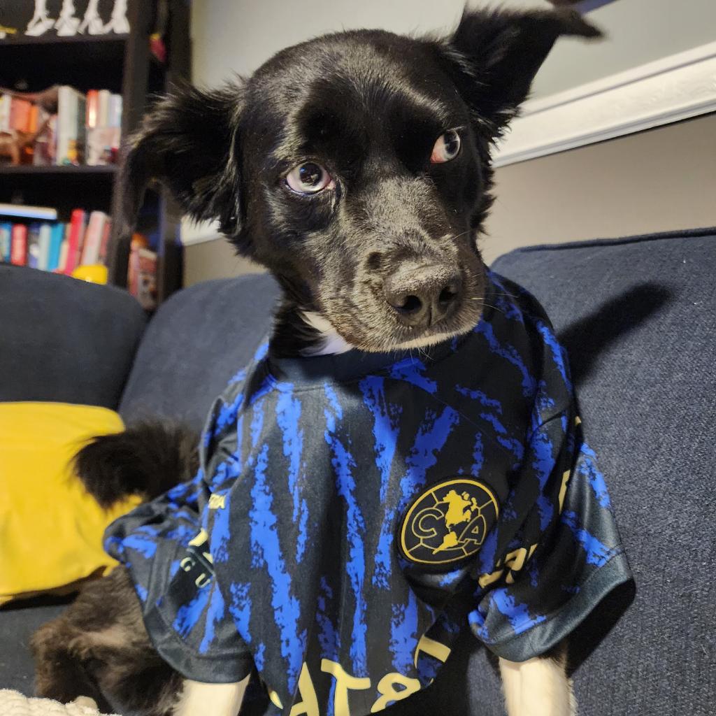 CHRISTIAN J BRAVO tweet media