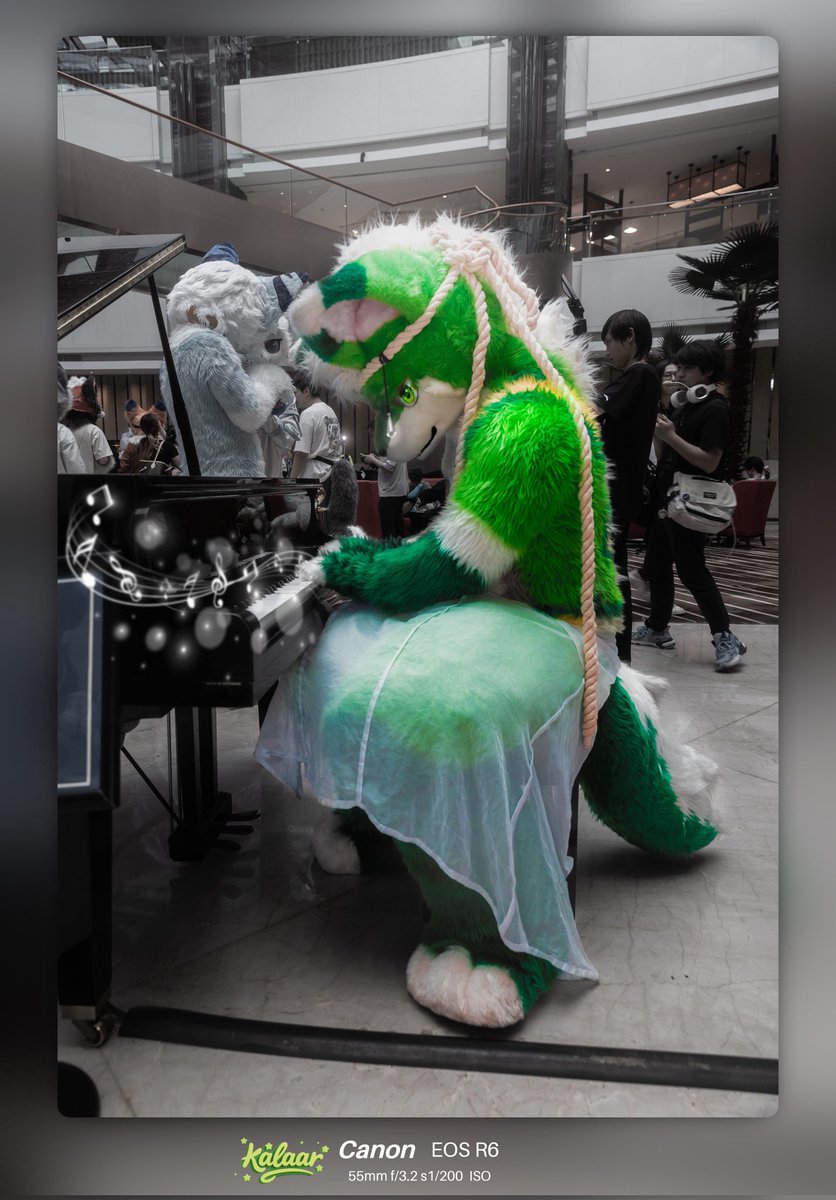 好想像卡农一样，反复的回到这段时光里啊
#FursuitFriday