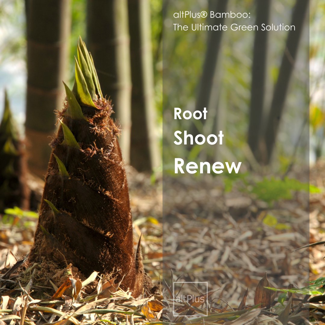 altPlus_Tech's tweet image. Join the movement towards a sustainable future! Bamboo not only reduces waste but also supports a healthier planet. Choose altPlus and make a difference today! 🌿🌍 

Learn more: altplus.xyz/post/china-s-b…
