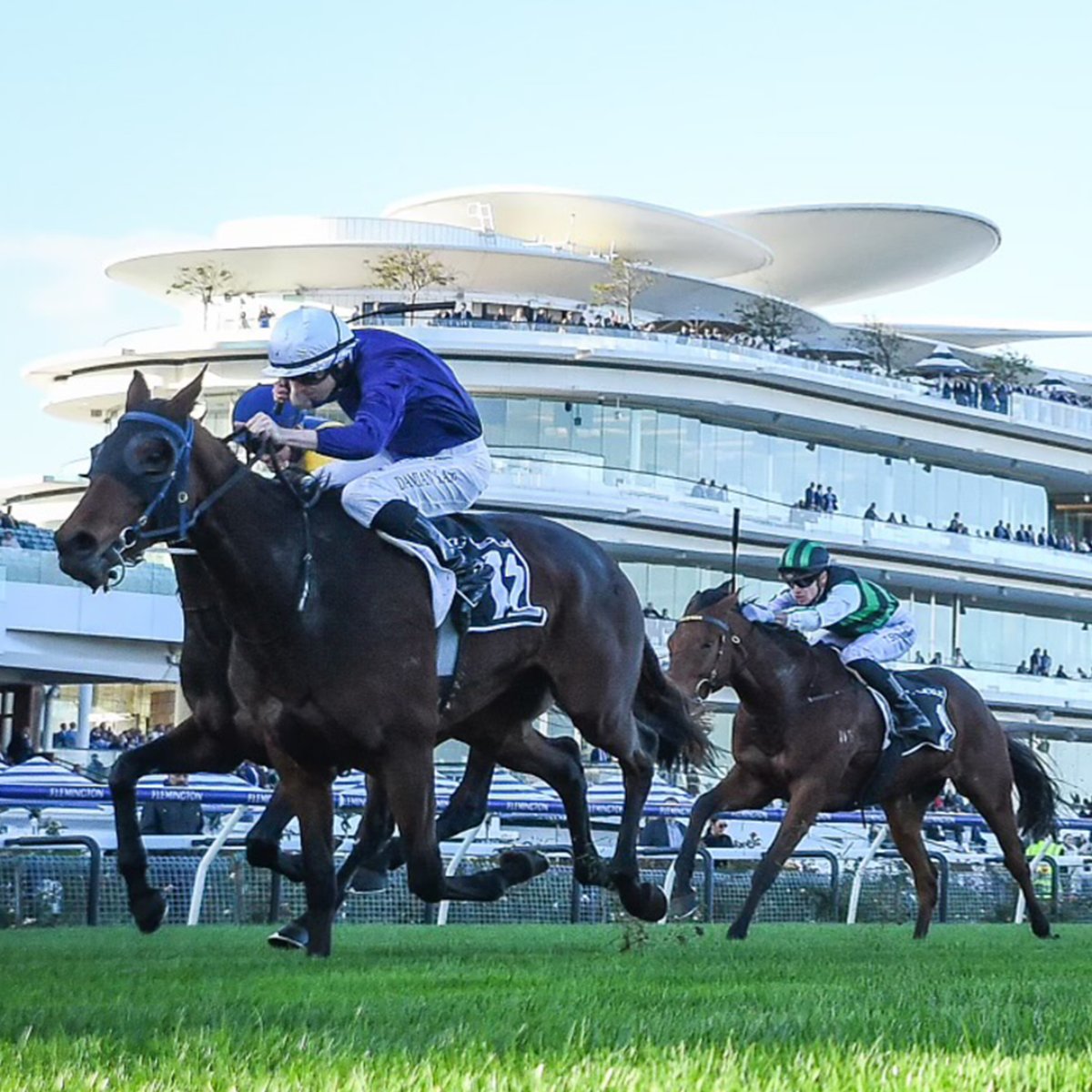 The Map's huge run in the 2024 Andrew Ramsden earned her a golden ticket to the Melbourne Cup 💙

Silent Surrente will hope to repeat the star stayer's efforts on Saturday 👏