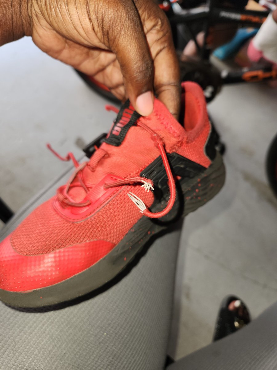 LANDRI Gee tweet media