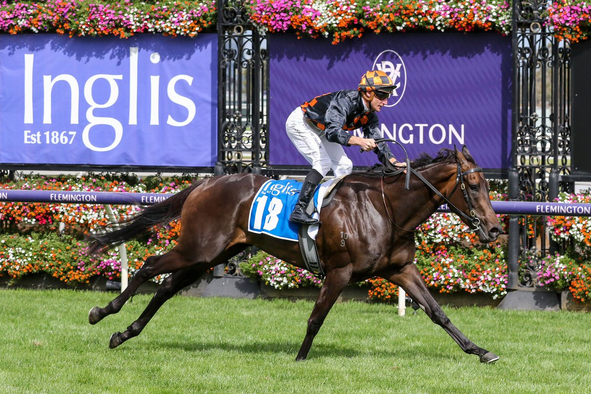 Mill Park Stud (@millparkstud) on Twitter photo "She's in great form and she hasn't had an overly taxing preparation so far. She'll go there with fresh legs," said <a href="/WarrenRacing/">Jason Warren Racing</a> on G1 Doomben 10,000 runner, the #MillParkRaised & <a href="/inglis_sales/">Inglis</a> Premier sold Benedtta (Hellbent).
<a href="/BreedingRacing/">Black Type Racing</a> News: blacktyperacing.au/news/2025/05/1… "She's in great form and she hasn't had an overly taxing preparation so far. She'll go there with fresh legs," said <a href="/WarrenRacing/">Jason Warren Racing</a> on G1 Doomben 10,000 runner, the #MillParkRaised & <a href="/inglis_sales/">Inglis</a> Premier sold Benedtta (Hellbent).
<a href="/BreedingRacing/">Black Type Racing</a> News: blacktyperacing.au/news/2025/05/1…