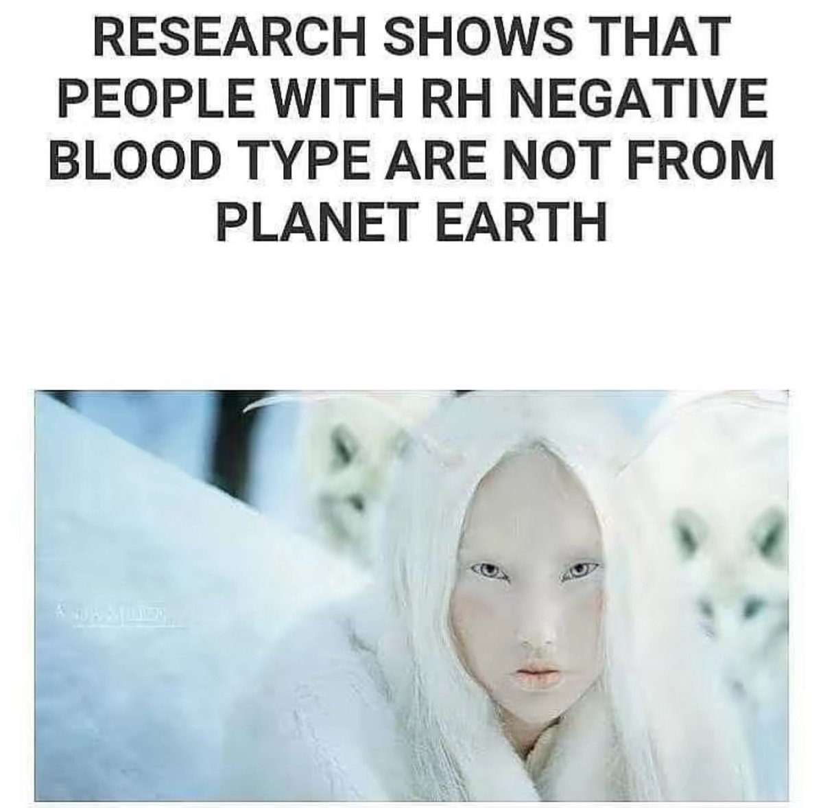 ParanormalLink_'s tweet image. Question!

Do you believe this could be true?

#theparanormalchic #rhnegative #bloodtype #alien #paranormal #fyp