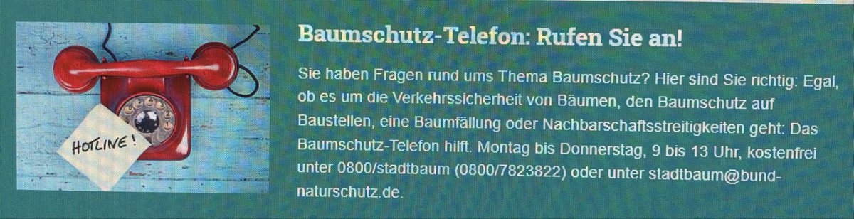 Stadtbäume: Wichtiger denn je!
Helft mit zur Verbesserung des Stadtklimas und schätzt und schützt Bäume in Städten🌳 
bund-naturschutz.de/natur-und-land…