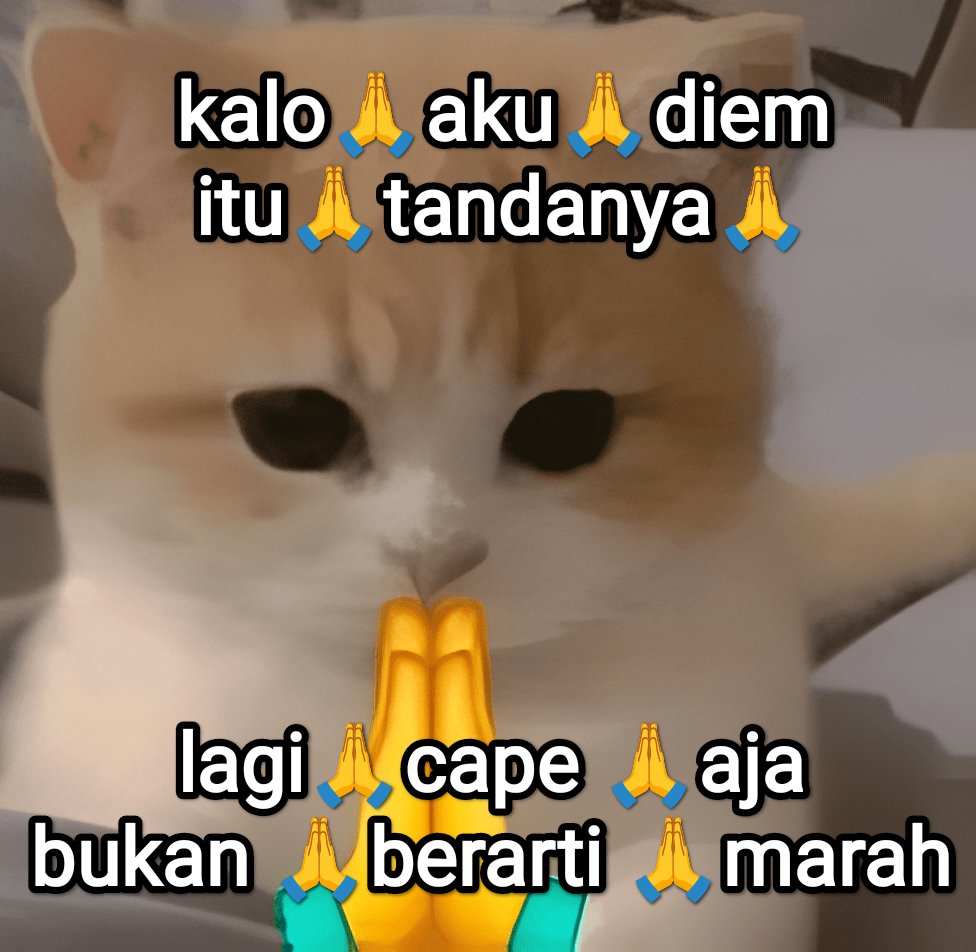 el (@halupulisi) on Twitter photo 