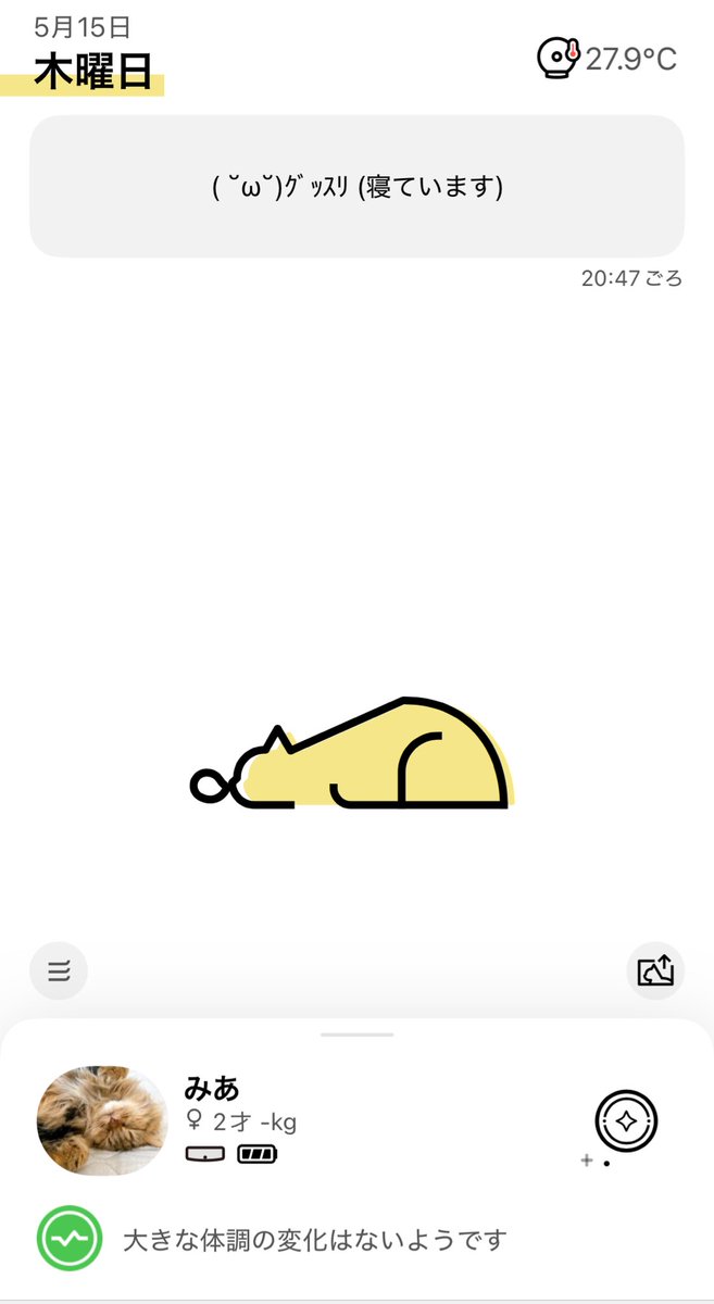 ruuvkuu's tweet image. キャトログさん！！！！
デビューさせていただきました！！！！
なんでもっと早く買わなかったのかとずっと後悔するくらい、とってもとっても満足しています！！！！
首輪もお洋服もスタイも大嫌いなみあちゃんが、なーんの抵抗もなく付けていて、シュシュタイプ神です！！
 #catlog