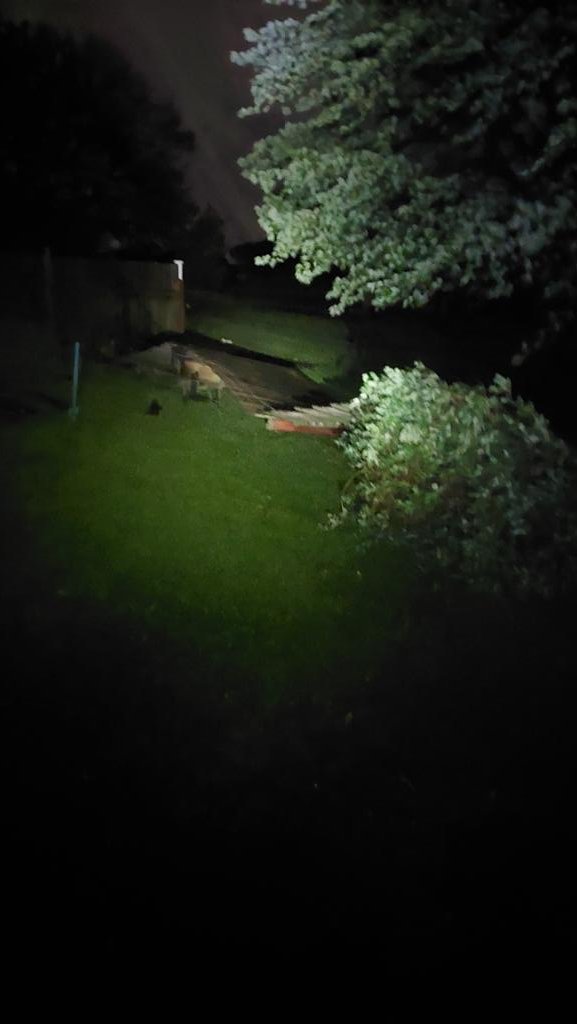 Patrick Ohaver tweet media