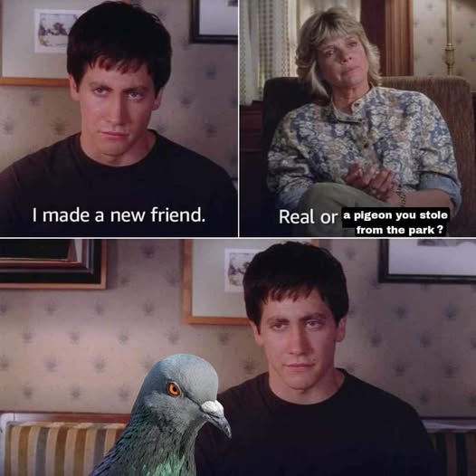 Ⲉⲭⲧꞅ0ⲣⲩ tweet media