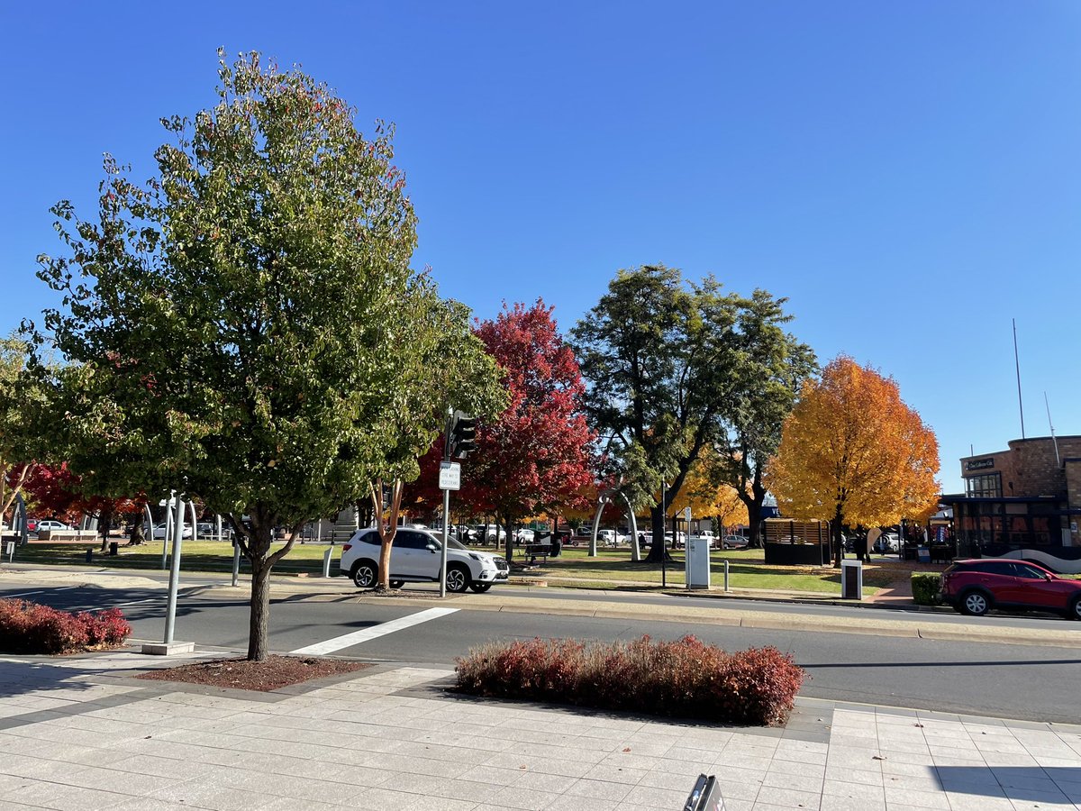 Beautiful autumn day to kick off the Victorian Rural Health Conference 2025 in Wodonga hosted by <a href="/RuralDocsVIC/">RDAV</a>