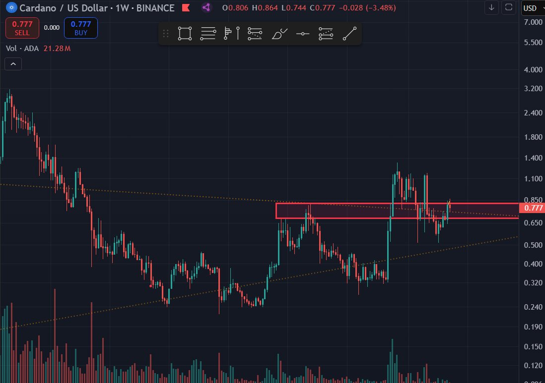 Cryb₳bycry tweet media