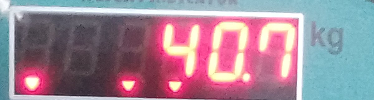 peneculoteta tweet media