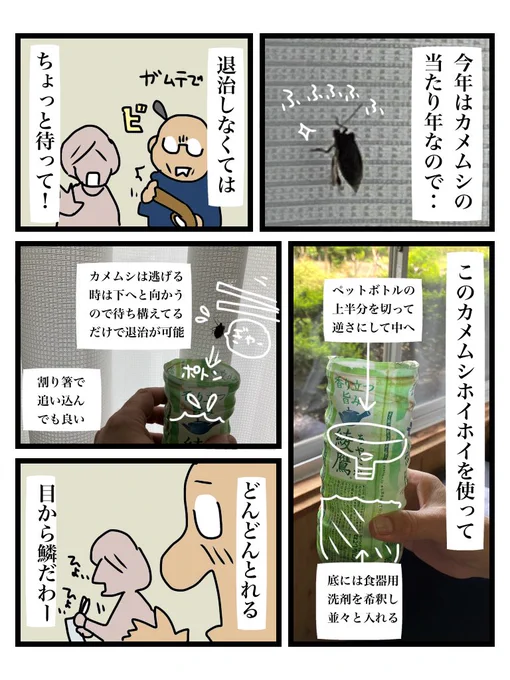 カメムシは臭いだけではなく、稲に実害を及ぼす迷惑な虫なので、効果的な退治方法を皆さんにシェアいたします 