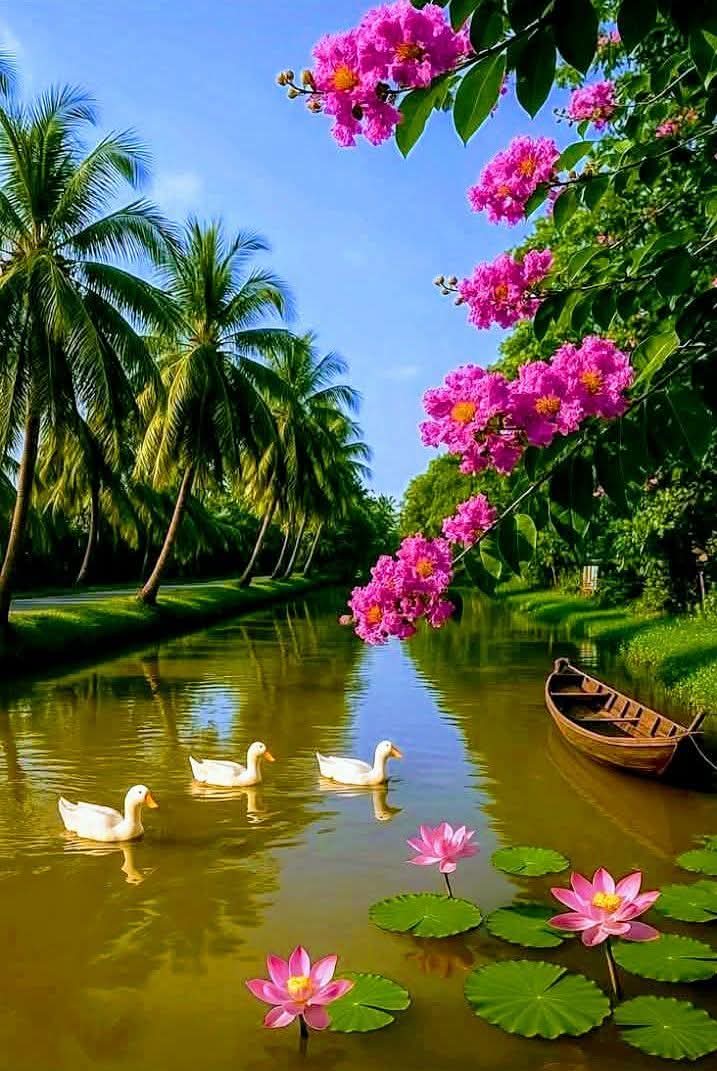 Á ū ś ħ ǎ 🍃 tweet media
