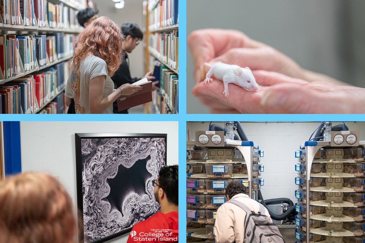 Research at the College of Staten Island tweet media