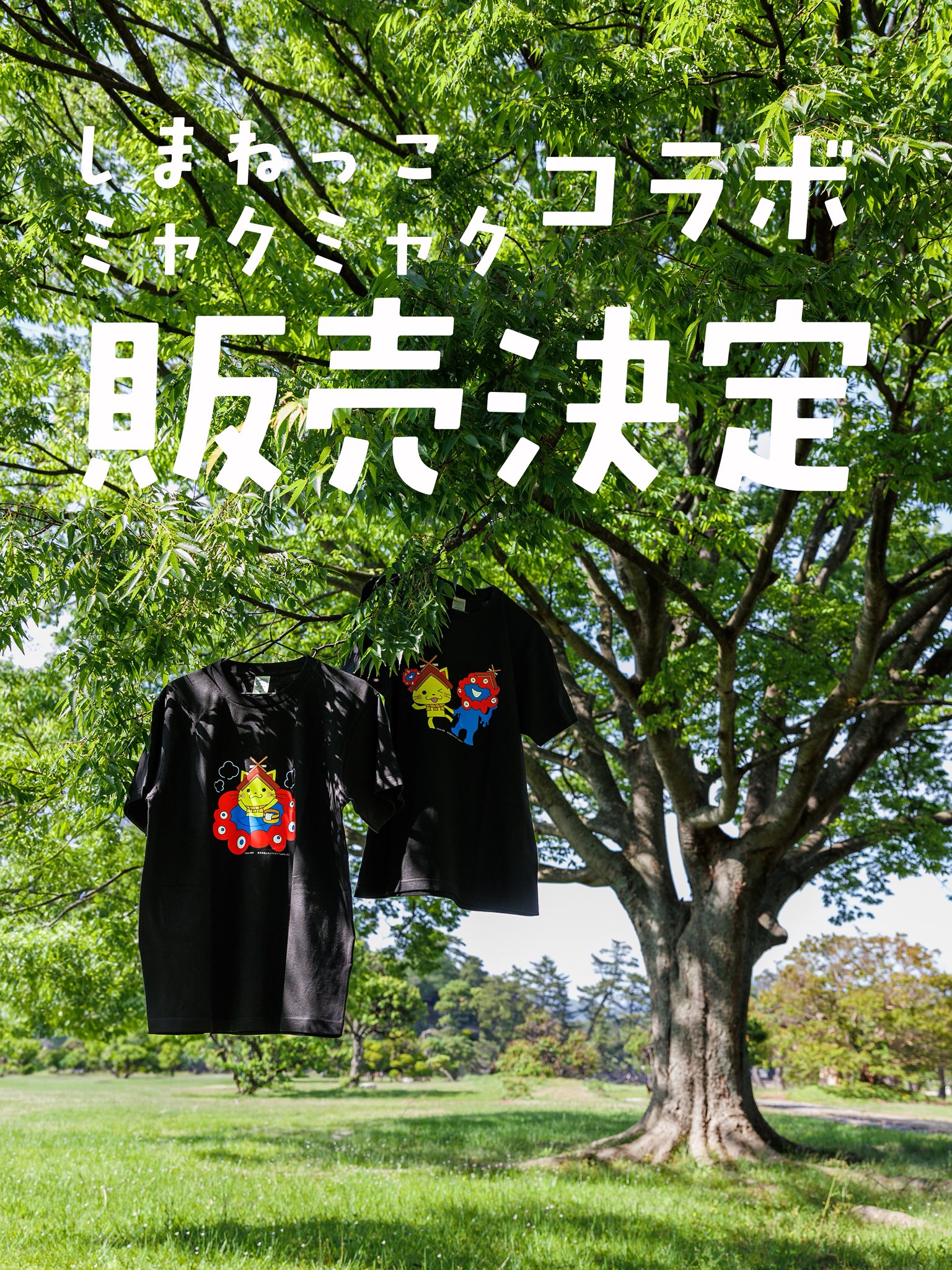しまねっこ【公式】 on X: 