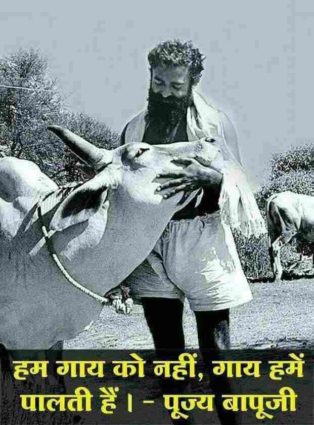 FounderEra's tweet photo. हजारों कत्लखाने जाने वाली गायों के संरक्षण हेतु Sant Shri Asharamji Bapu ने गौशालाओं की स्थापना कर समाज को #GauSewa के लिए प्रेरित किया।
देशी गाय का दूध, घी, गोमूत्र, गोबर आदि हमारे स्वास्थ्य, पर्यावरण और आध्यात्मिक शुद्धता के लिए अमूल्य हैं।
#SaveDesiCows
#RespectTheCows https://t.co/ethCQLlbK6
