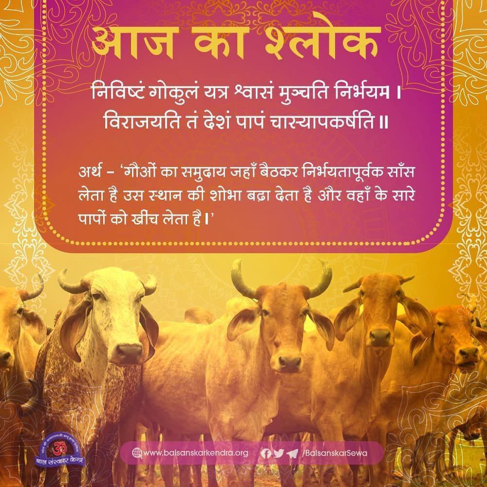 FounderEra's tweet photo. हजारों कत्लखाने जाने वाली गायों के संरक्षण हेतु Sant Shri Asharamji Bapu ने गौशालाओं की स्थापना कर समाज को #GauSewa के लिए प्रेरित किया।
देशी गाय का दूध, घी, गोमूत्र, गोबर आदि हमारे स्वास्थ्य, पर्यावरण और आध्यात्मिक शुद्धता के लिए अमूल्य हैं।
#SaveDesiCows
#RespectTheCows https://t.co/ethCQLlbK6