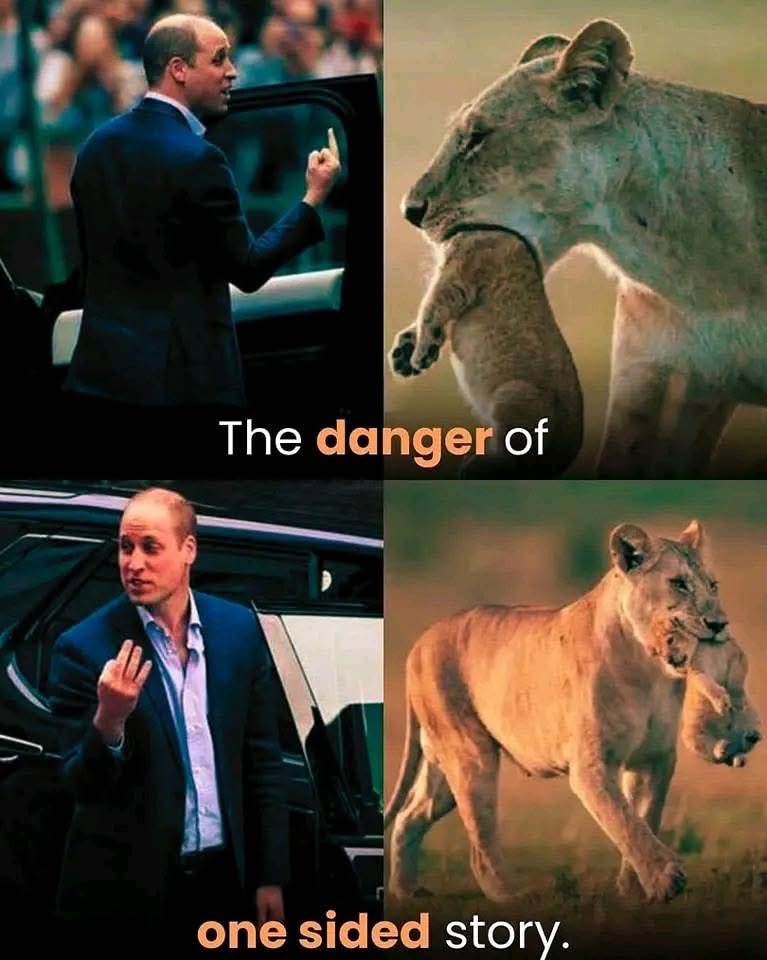 Mindful Maven tweet media