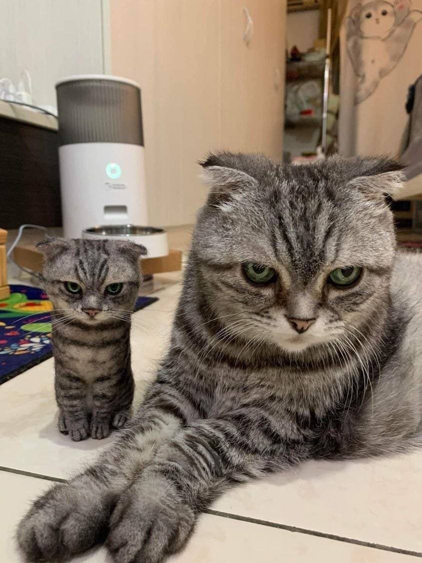 Khal_x6's tweet photo. Perfect Family 🥰 https://t.co/4l0Mqp5DwL