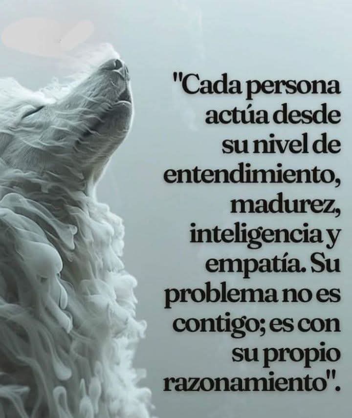FelixAlbertoVa8's tweet photo. https://t.co/PuBUvBRtVq