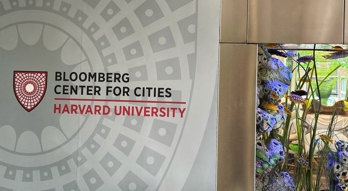 Olanrewaju Smart tweet media