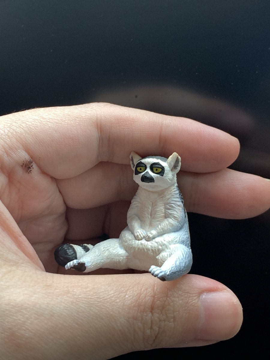 rbenstudio's tweet photo. RBEN STUDIO アニマルフィギュアマスコット５

なんとなんと！Kitan Clubさんとのコラボカプセルトイが、ついに第5弾に突入しましたー！！✨
今回は、いつも大人気のカピバラくん、カンガルー、コアリクイ、そしてワオキツネザルが登場です！
どの子も個性たっぷりで、とってもかわいい仕上がりになっています！🦘🦝
ぜひぜひ、全国のカプセルトイ売り場でゲットしてみてくださいね〜！🎉

#kitanclub #rbenstudioアニマルフィギュアマスコット5 #rben #rbenstudio